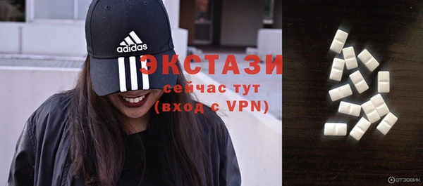 дмт Пересвет