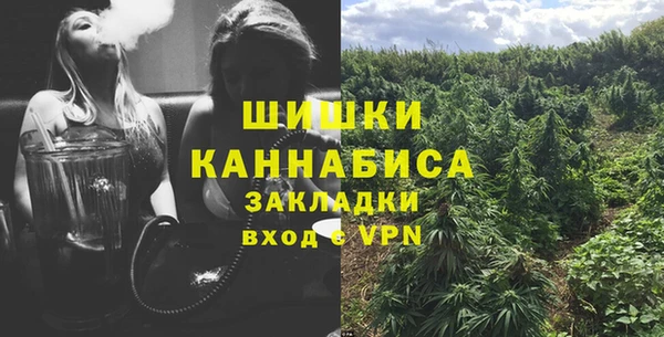 дмт Пересвет