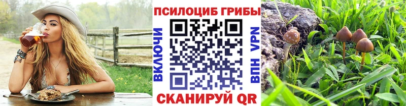 мега маркетплейс  Алатырь  Галлюциногенные грибы ЛСД  наркота 